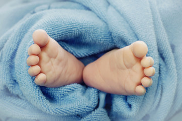 Newborn baby feet under blue blanket cover