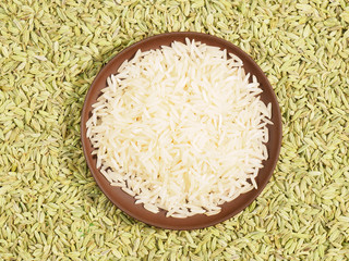 Basmati rice in clay plate. Background from Fennel. Indian cuisine ingredients
