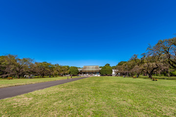 Fototapeta na wymiar 東京武蔵野 小金井公園の風景
