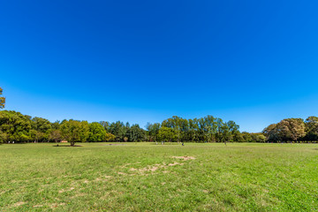 東京武蔵野 小金井公園の風景