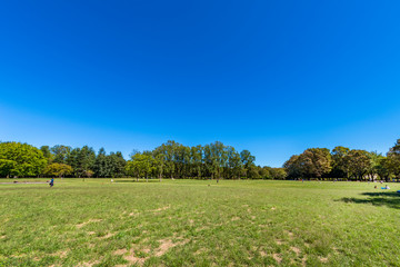 東京武蔵野 小金井公園の風景