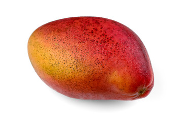 Chilled mango out of the fridge with condensate droplets isolated on white background. Fresh bright...