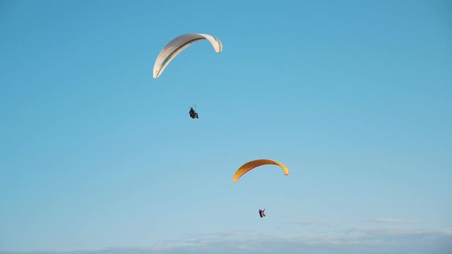 Two professional skydivers soaring on colorful parachutes on sunny day in summer