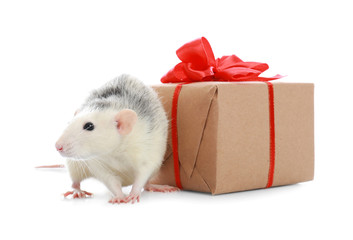 Cute little rat and gift box on white background. Chinese New Year symbol