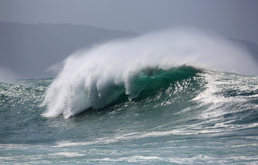Beautiful wave, Hawaii