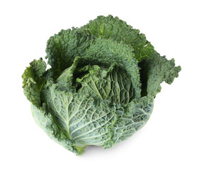 Fresh ripe savoy cabbage on white background