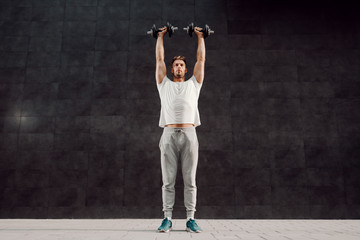 Full length of attractive caucasian muscular bearded blonde man in tracksuit and with t-shirt standing in front of gray wall and holding dumbbells over head.