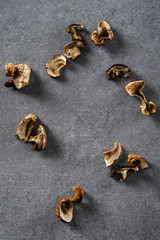 Dried champignon mushrooms on a gray concrete surface. Top view.