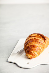 fresh croissant on white ceramic board, close up