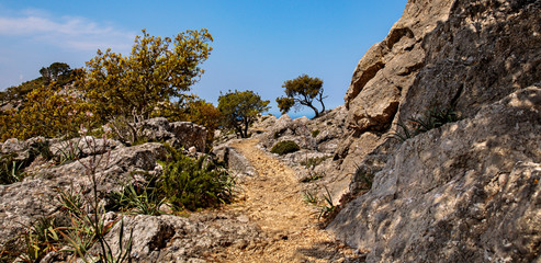 Puig des Caragol Sierra de Trmunatan, Mallorca