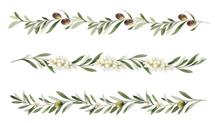 Watercolor vector set of borders of olive branches and flowers. © ElenaMedvedeva