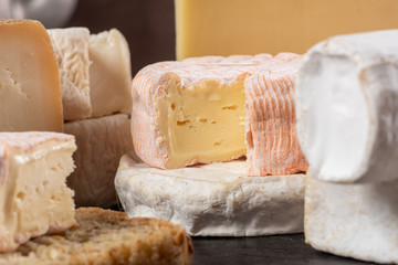 different delicious French cheeses, dairy product
