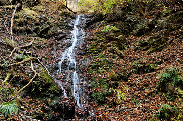 奥武蔵 武甲山の不動滝