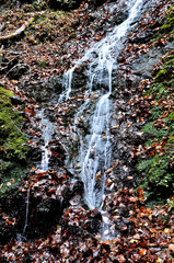 奥武蔵 武甲山の不動滝