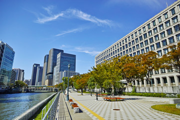 大阪 中之島公園 大阪市役所と高層ビル群