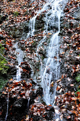 奥武蔵 武甲山の不動滝