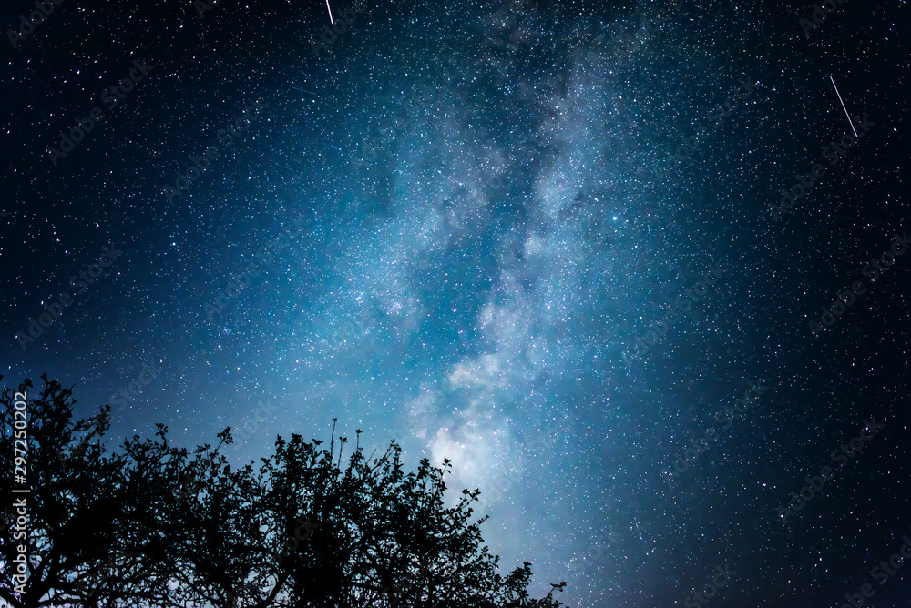 Wall mural night starry sky against the background of the milky way and trees.