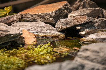 Stone valley with water for reflection