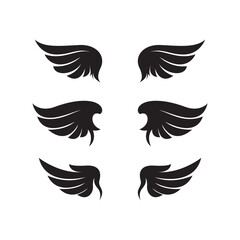 vector illustration set wing silhouette