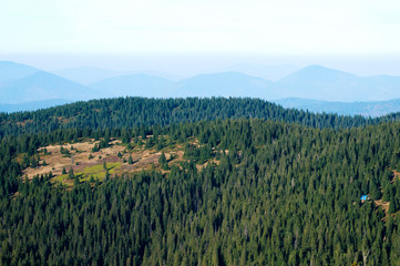 Fototapeta premium little house in the woods in the mountains on a sunny day