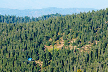 little house in the woods in the mountains on a sunny day