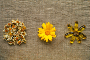 Layout with dry chamomile flowers, calendula and dry berries in form of heart at linen fabric, alternative medicine