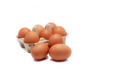 Egg in paper box isolated in white background. Eggs in carton. Green packaging. Chicken eggs from organic farm. Brown cardboard box package. Paper container. Recycled tray packaging. Poultry product.