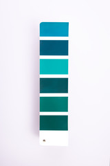 Color palette samples on white background. Trendy color of year.