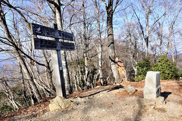 奥武蔵 大持山の山頂
