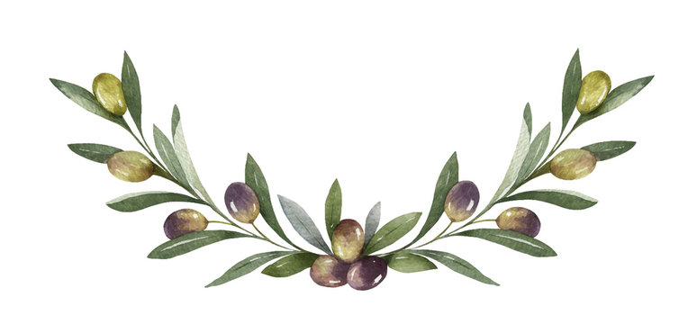 Watercolor vector wreath of olive branches and berries.