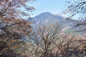 奥武蔵 妻坂峠より望む武甲山