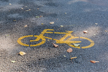 Road marking of sign of the bike path close-up