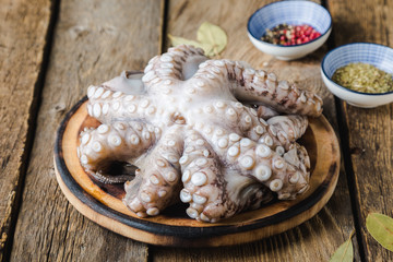Raw octopus before cooking with spices © Ruslan Mitin