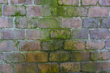 Outdoor dripping brick wall and green moss material