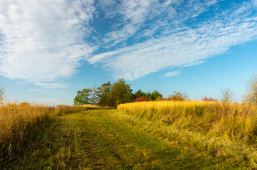 Fototapeta na wymiar Countryside landscape with road in fields