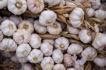 Strands of braided garlic