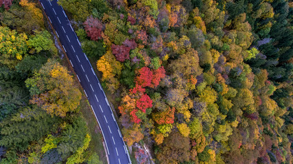 Drone aerial view of an mountain road winding through an Alpine aerial misty forest in the Swiss french Jura mountains. The forest canopy is a variety of fall colors.