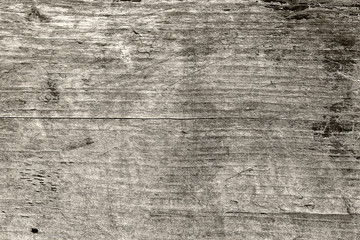 Old wood coating, natural texture, background concept