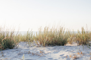 Natural sea beach on sunrise.
