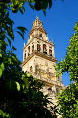 Cordoba Mosque Tower