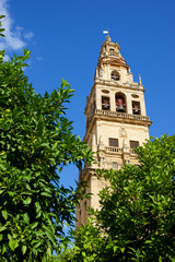 Cordoba Mosque Tower