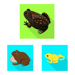 Vector illustration of wildlife and bog icon. Set of wildlife and reptile vector icon for stock.