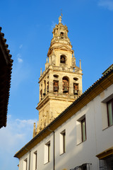 Fototapeta na wymiar Cordoba Mosque Tower