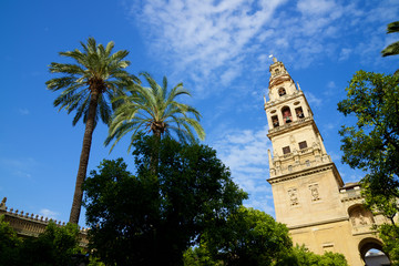 Cordoba Mosque Tower