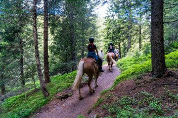 Gruppe von Mädchen auf Haflinger Pferden reiten gemütlich durch einen Waldpfad