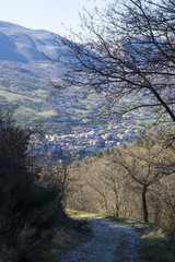 italy trees in the mountains