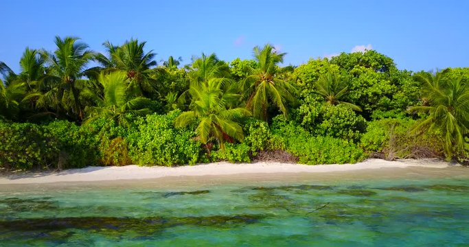 Zooming on big beautiful palms on idyllic beach of Con Dao island in Southeast Asia