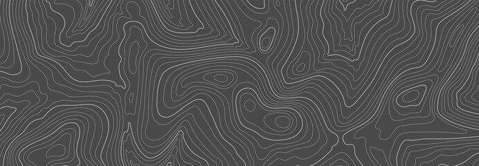Gray topographic line contour map background, geographic grid map