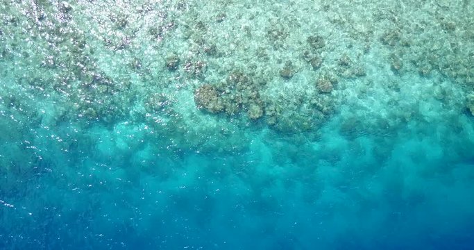 sea floor scene at indonesia, aerial descending drone shot