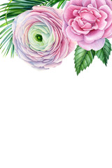 flowers, roses, ranunculus, hibiscus, leaves, hyacinth, chrysanthemum on an isolated white background. Watercolor painting, botanical illustration, wedding invitation, greeting card with place